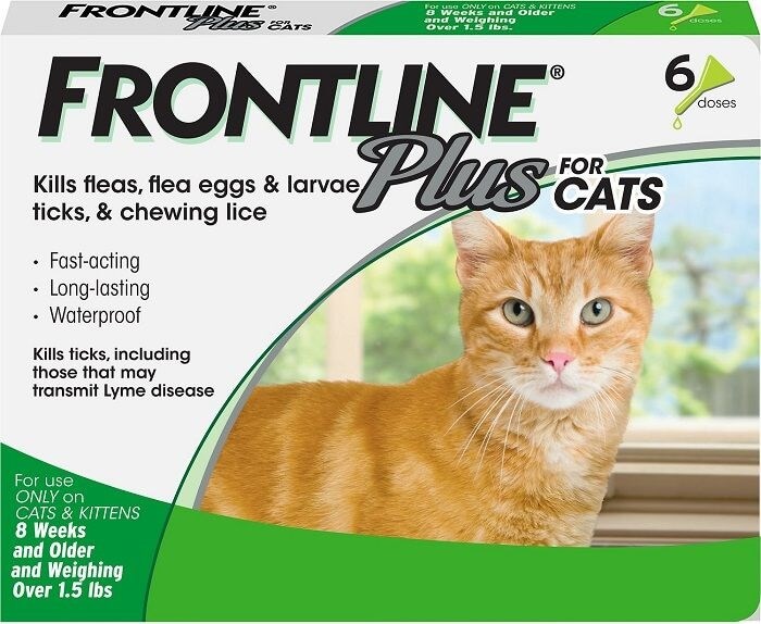 Frontline Plus For Cats: Overview, Dosage & Side Effects