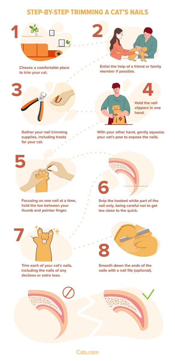 Quick guide to nail clipping