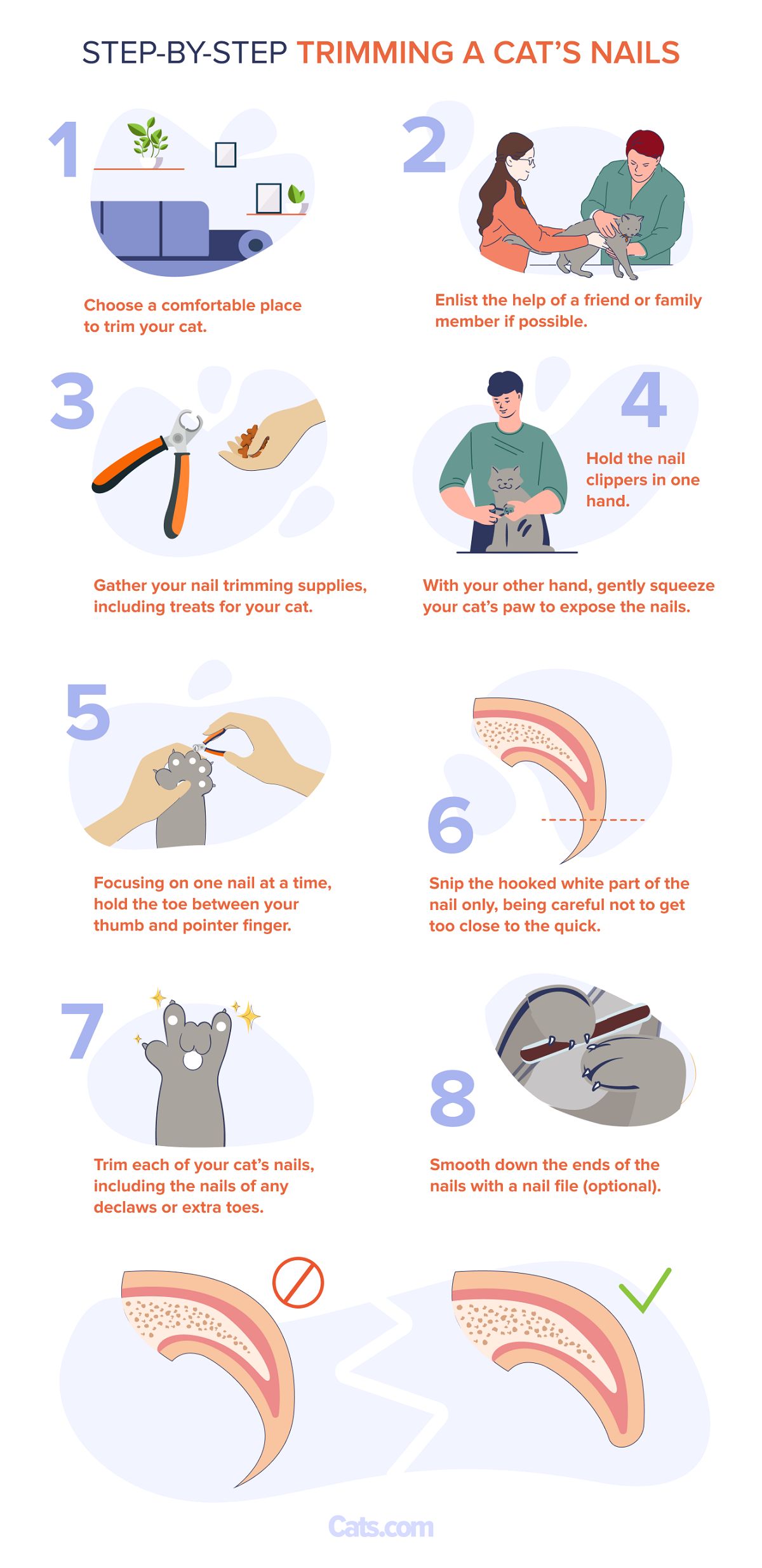 Step-by-step Breakdown Of Trimming A Cat’s Nails