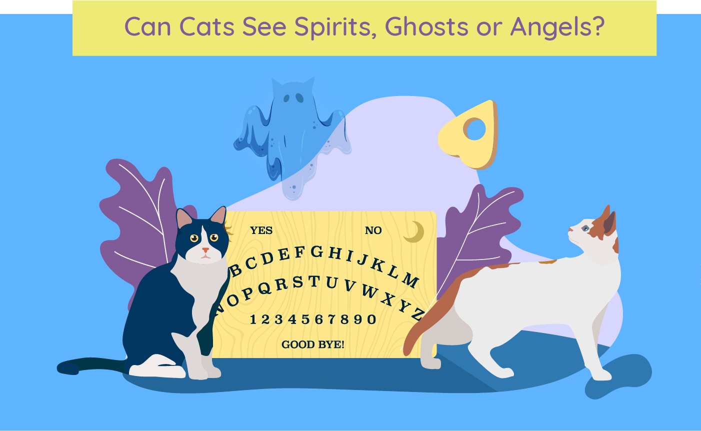 Image titled 'Can Cats See Spirits, Ghosts, and Angels?' which explores the belief that cats can perceive supernatural entities.