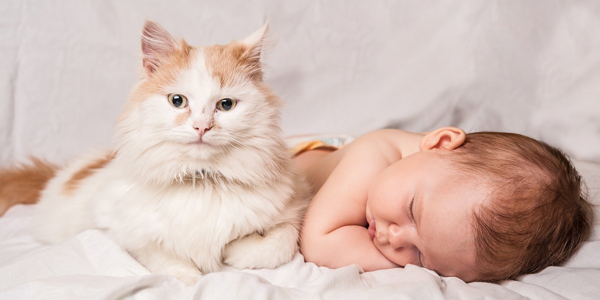 Babies With Kittens