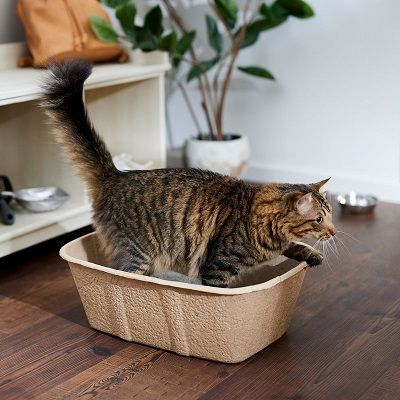 Nature's miracle best sale disposable litter box