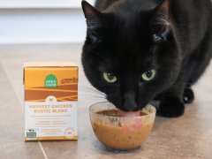 Open Farm Harvest Chicken Rustic Blend Wet Cat Food