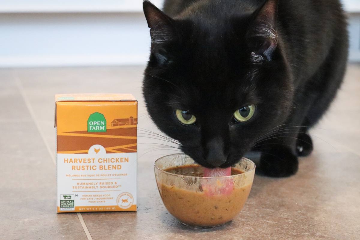 Open Farm Harvest Chicken Rustic Blend Wet Cat Food