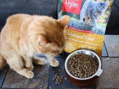 Orijen Original Cat Dry Kibble Food-7-compressed