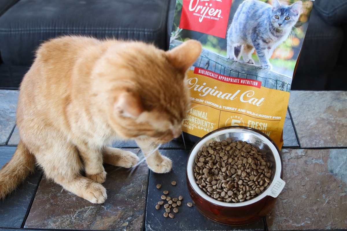Orijen Original Cat Dry Kibble Food-7-compressed