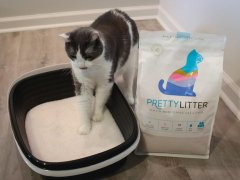 Pretty Litter Health Monitoring Cat Litter
