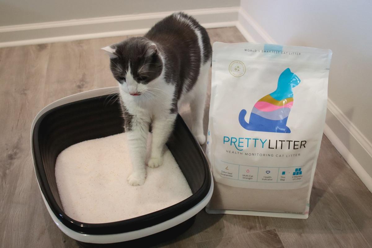 Pretty Litter Health Monitoring Cat Litter