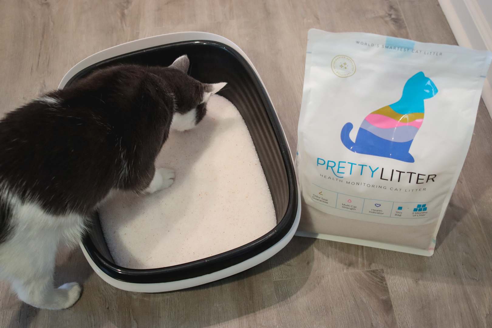 Pretty Litter Health Monitoring Cat Litter
