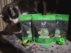 Shameless Pets Catnip N Chill Crunchy Cat Treats