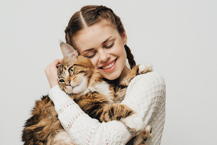An image illustrating a cat being hugged by a person.