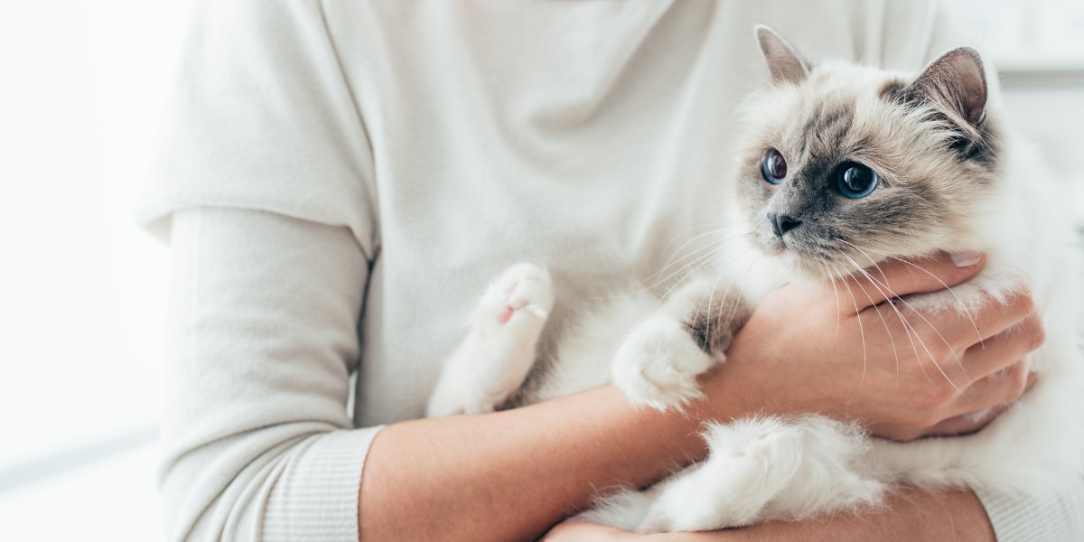 cat is captured in a heartwarming embrace,