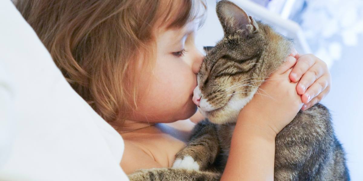 Image of a child affectionately kissing a cat, reflecting a heartwarming moment of companionship and trust between humans and feline friends.