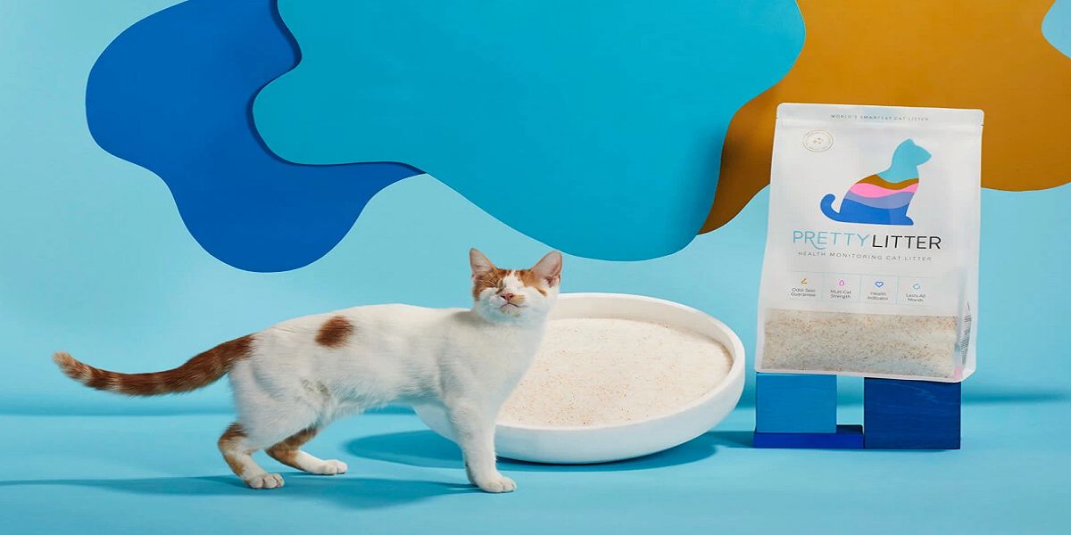 Image of Pretty Litter and Cat with litter tray