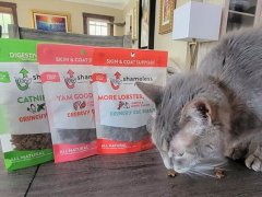 shameless cat food review
