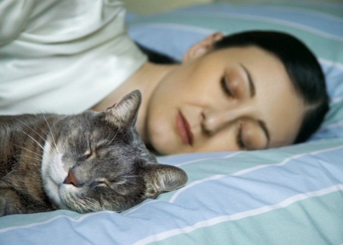 Image of a woman sleeping peacefully with a cat, exemplifying the soothing companionship and warmth cats can bring to human lives.