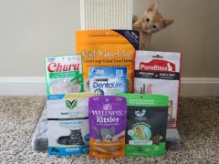 7 Best Kitten Treats