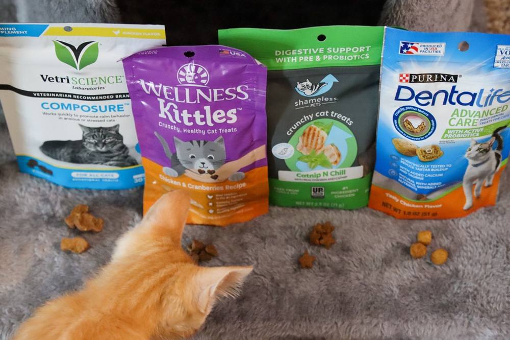 7 Best Kitten Treats 2025 Approach Taste Test