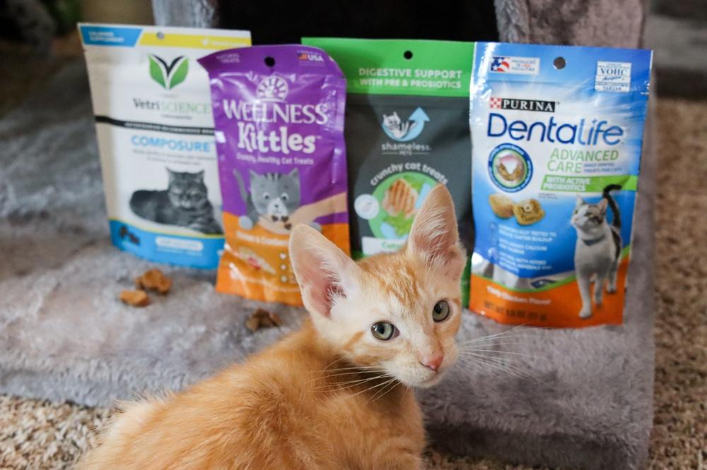 7 Best Kitten Treats 2025 Approach Taste Test