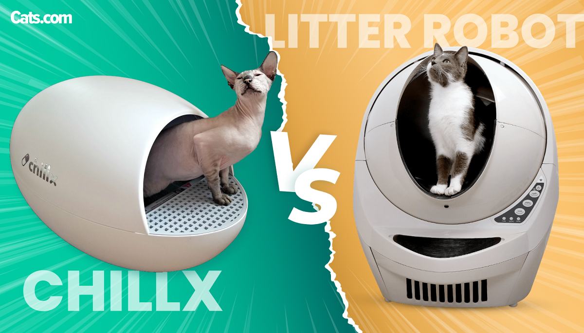 Litter Robot vs ChillX AutoEgg featured image