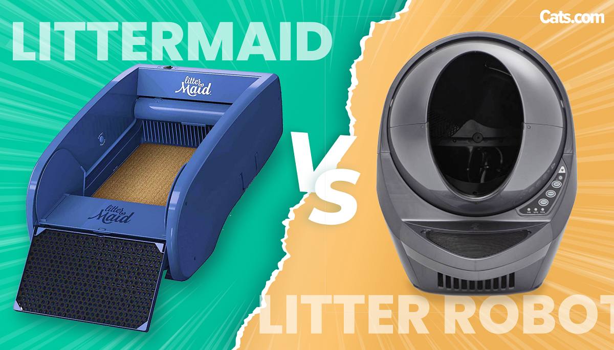 Litter-Robot vs LitterMaid featured image