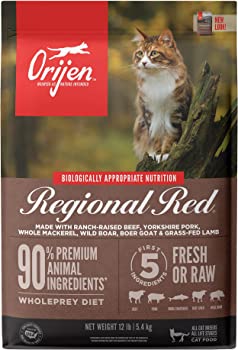 Best cat store food without chicken