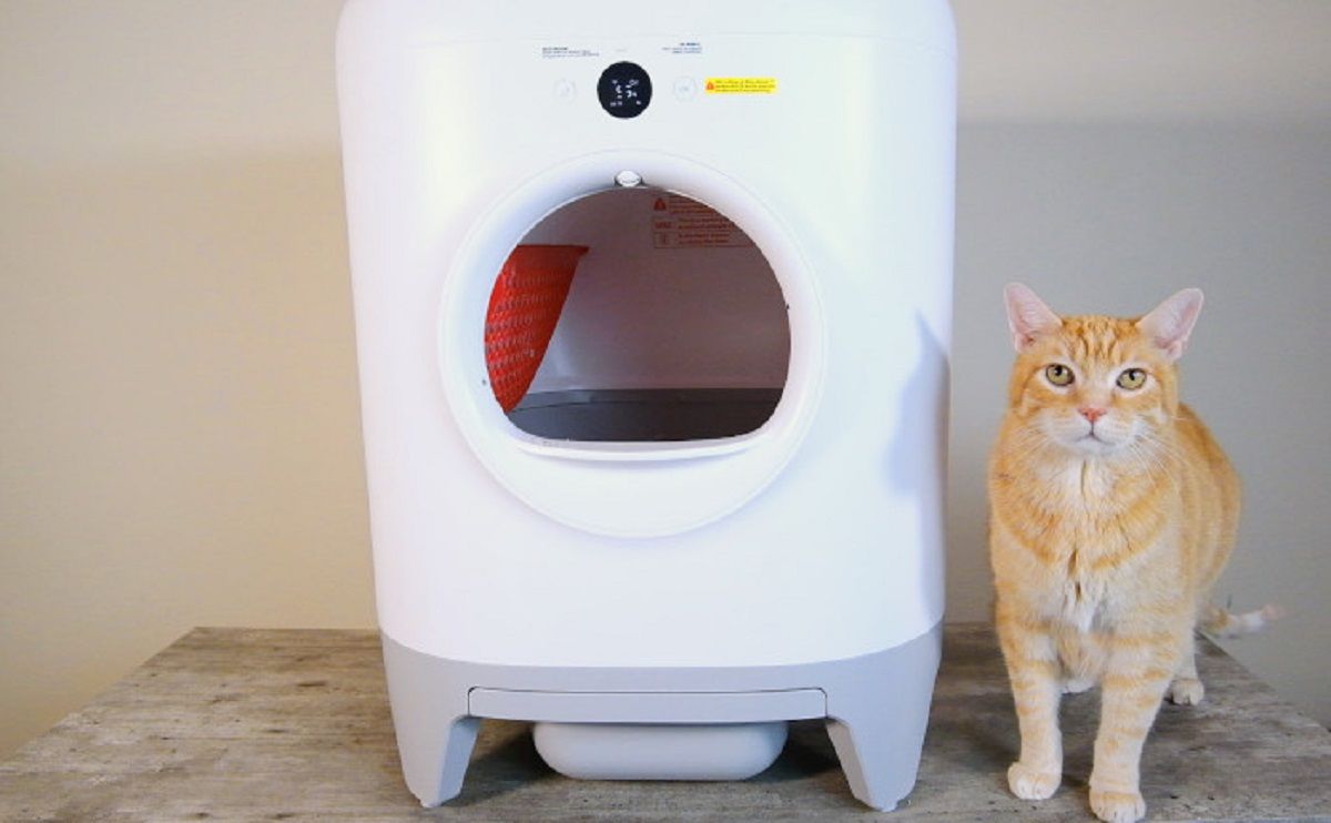 Best Automatic Cat Litter Box