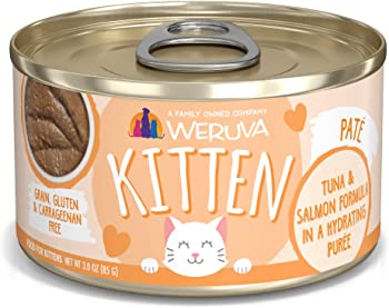 Kitten food hotsell without chicken