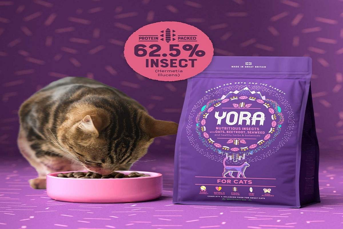 Unbiased Yora Cat Food Review In 2024 Cats