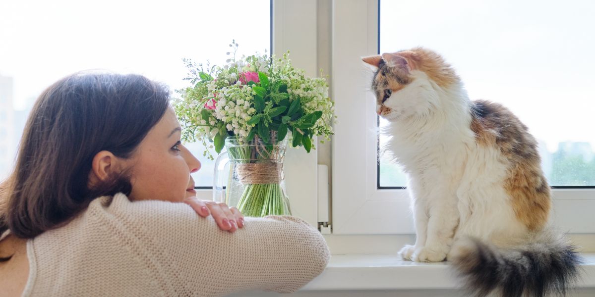 How Do Cats Say They’Re Sorry? 10 Signs Your Feline Is Trying To Apologize 