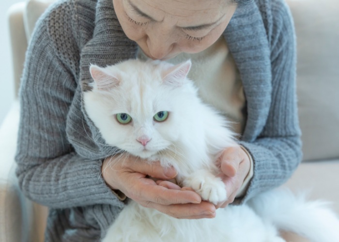 An image featuring a woman holding a cat in her lap.