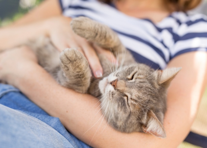 5 formas de construir un vínculo más fuerte con tu gato