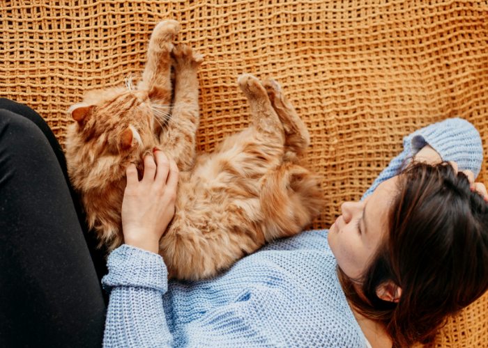 An image depicting a woman and an orange cat in a heartwarming moment.