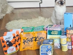 Best Healthy Canned, Soft & Wet Cat Foods