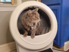 Litter-Robot 4