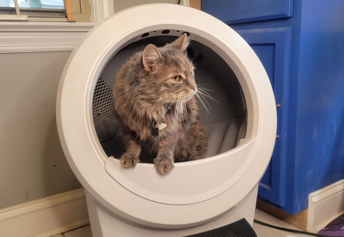 Litter-Robot 4