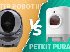 Litter Robot III vs Petkit Pura X featured image