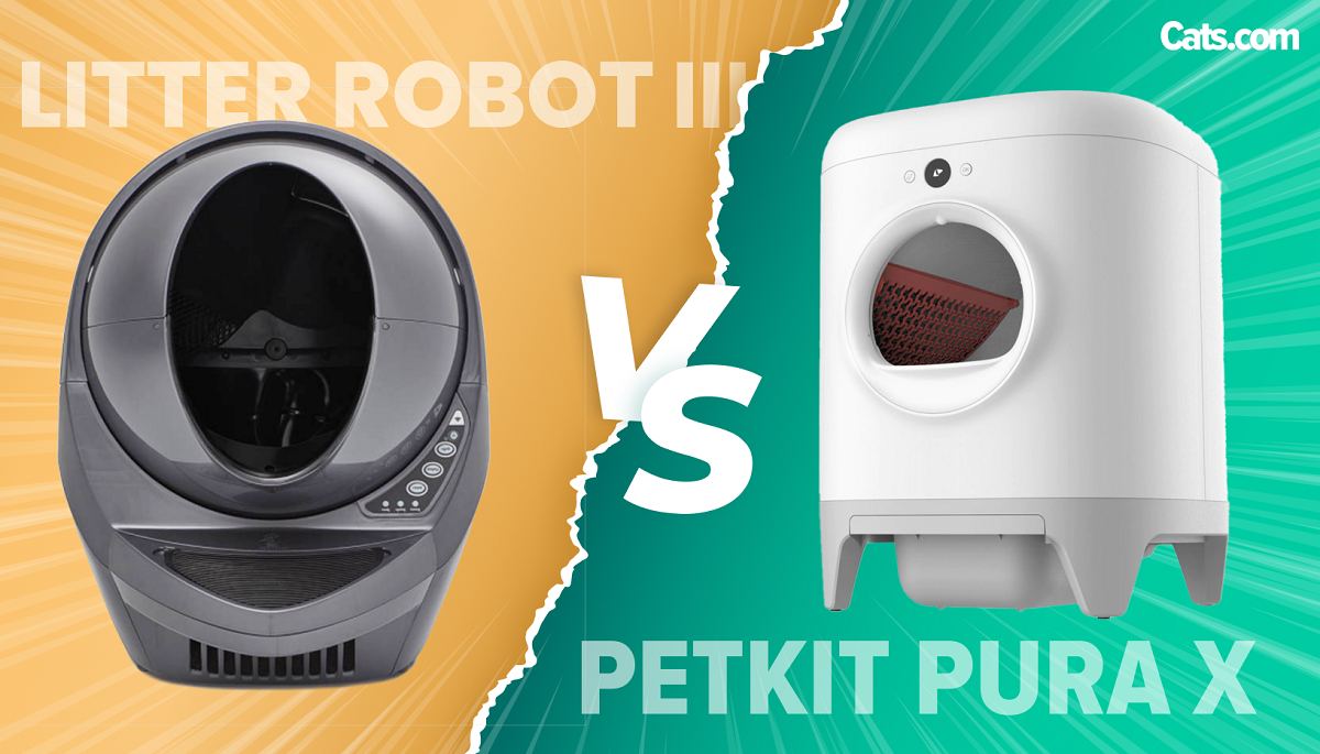 Litter Robot III vs Petkit Pura X featured image