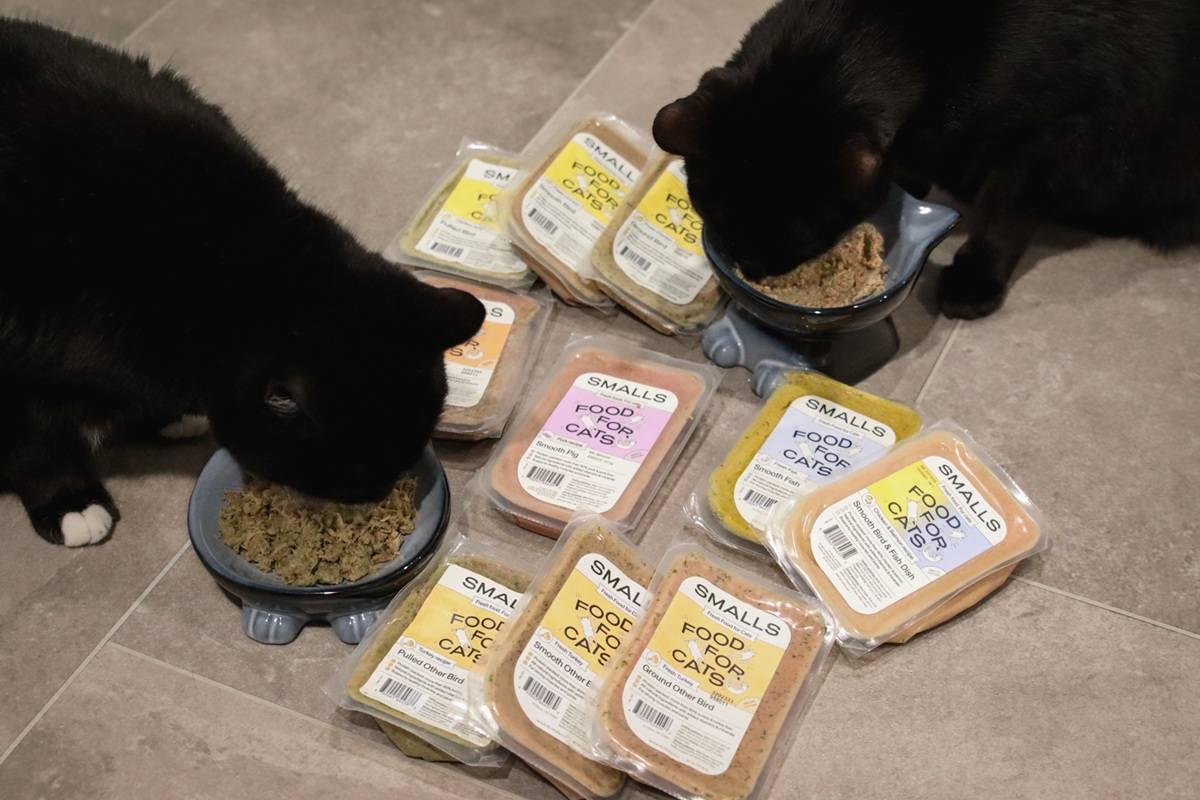 Smalls Frozen Raw Wet Cat Food Brand Review Roundup