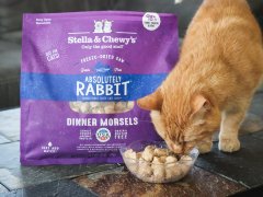 Stella & Chewy's Freeze Dried Raw Absolutely Rabbit Dinner Morsels