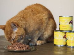 Tiki Cat Ahee Tuna Recipe