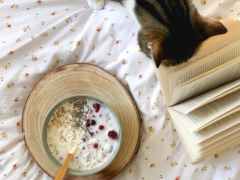 A cat comfortably nestled in a bed beside a bowl of oatmeal and a book, creating a cozy and charming scene