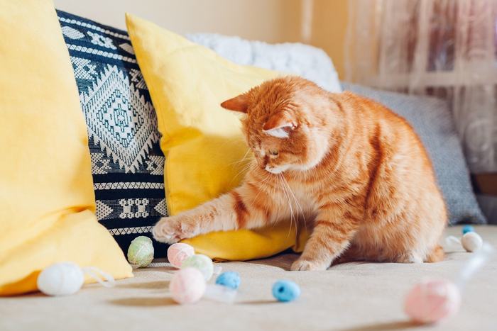 An image capturing a ginger cat engaged in playful behavior.