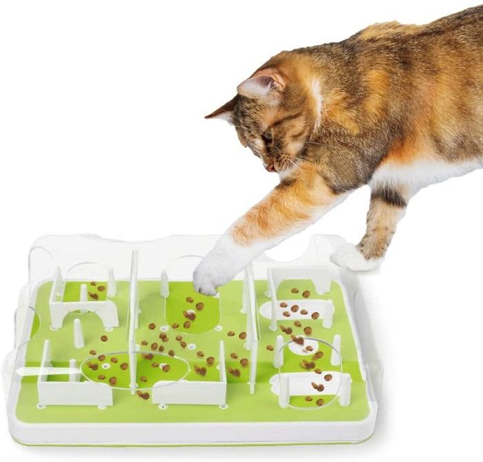 5 tips for introducing a puzzle feeder to your cat - BC SPCA