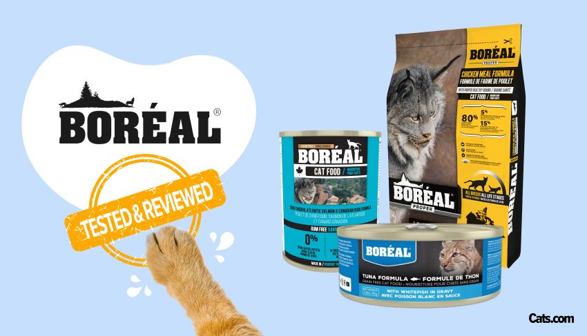 Boreal Cat Food Brand Review