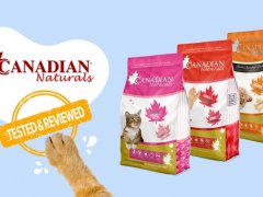 Canadian Naturals Cat Food Brand Review