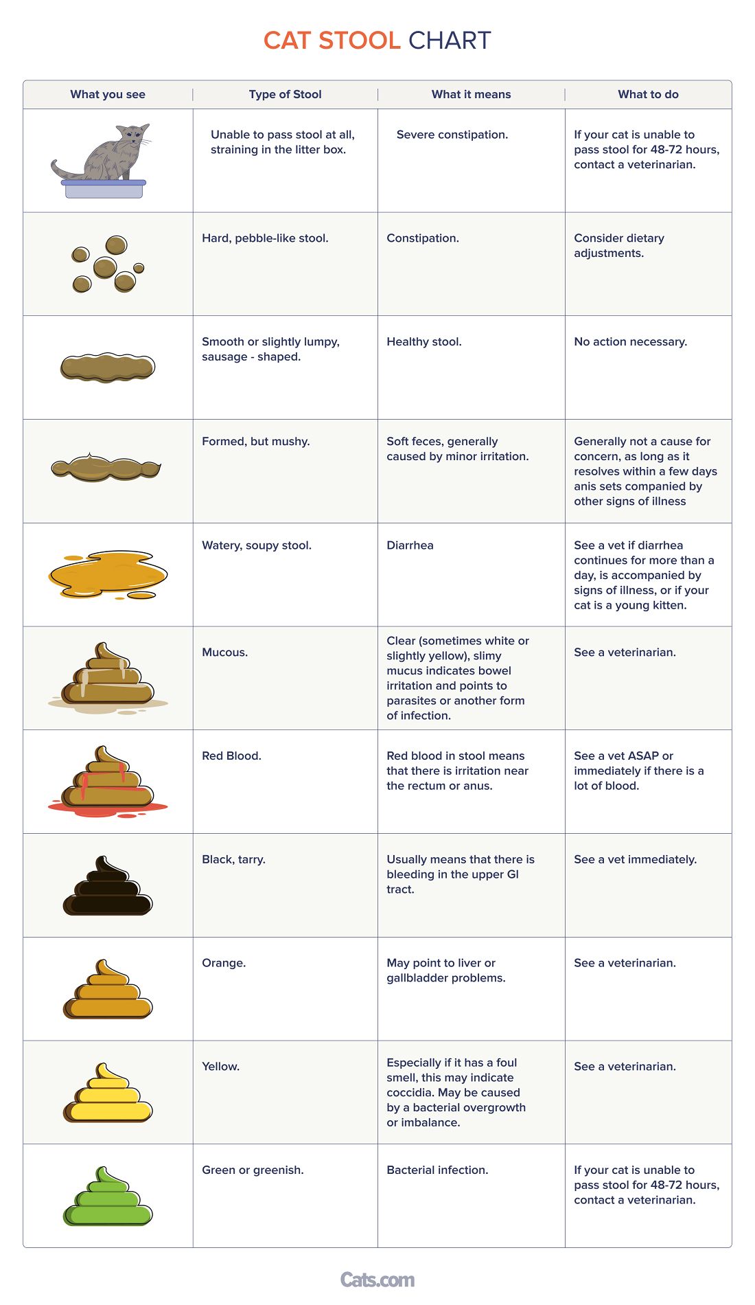 Cat Stool Chart