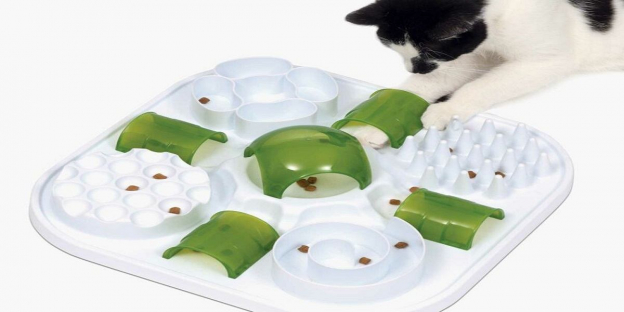 Turn plastic bottles into food puzzles - Food Puzzles for Cats