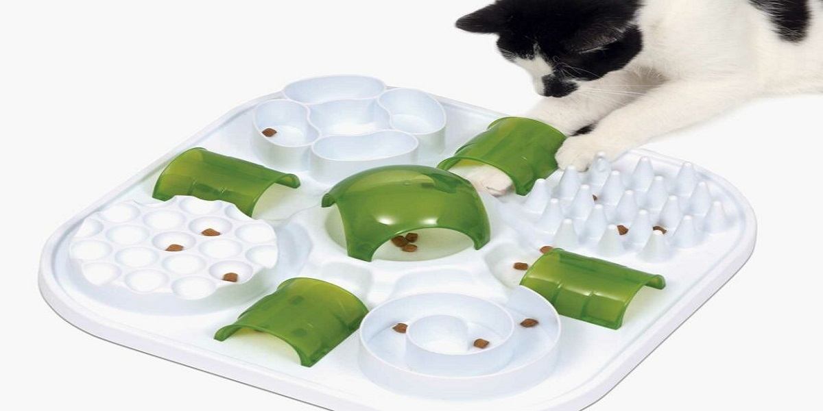 5 tips for introducing a puzzle feeder to your cat - BC SPCA