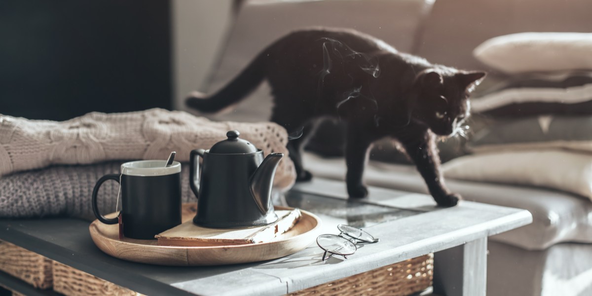 Collection of amusing images capturing cats knocking various items off tables, highlighting their playful and mischievous behavior.